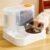 Large Capacity Automatic Pet Feeder & Water Dispenser for Cats & Dogs