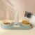 Double Dog & Cat Bowls with Water Dispenser